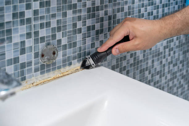 Best Mold Removal Company Near Me  in Wamac, IL
