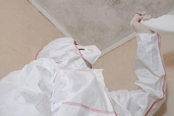 Best Toxic Mold Removal  in Wamac, IL