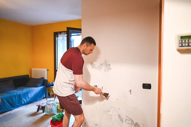 Best Affordable Mold Removal  in Wamac, IL